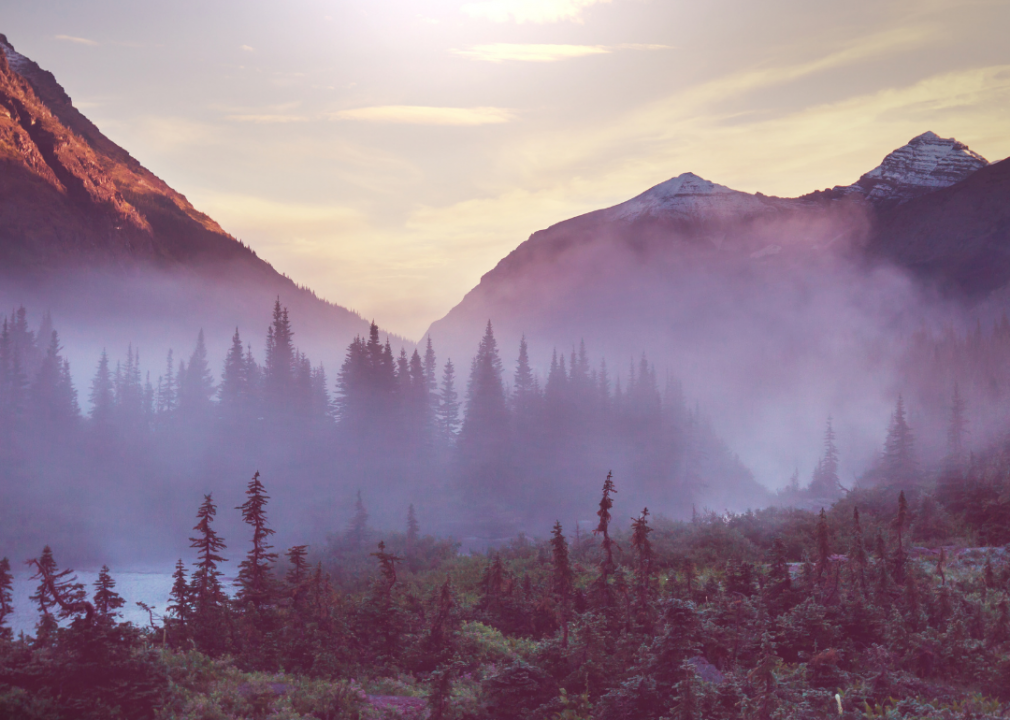 #39. Montana